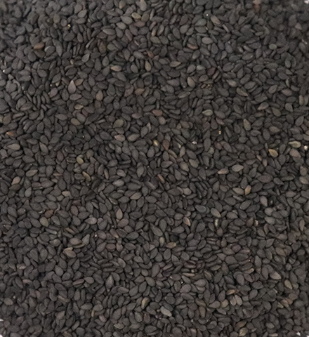 Black Sortex Seasome Seed Brokers From India