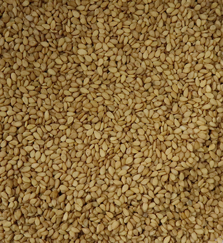 Golden Sortex Sesame Seeds Brokers From India