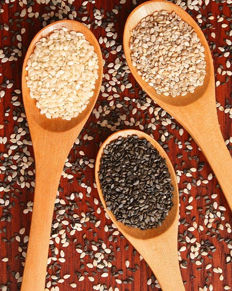 Leading Sesame Seeds Brokers in India