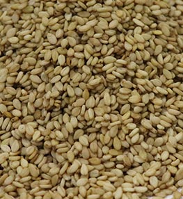 Natural Sortex Sesame Seed Brokers From India