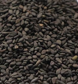 Black Sortex Brokers Sesame Seed From India